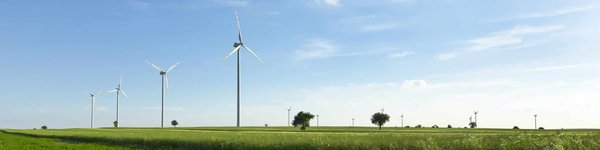 Composter sans contraintes : Découvrez les alternatives étonnantes aux silos traditionnels !