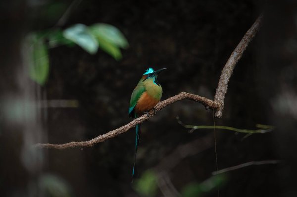 Titre proposé : "Comment le DPE se révèle être un outil incontournable pour une consommation énergétique responsable