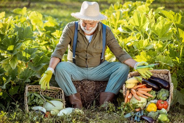 Les types de légumes à planter dans votre espace extérieur